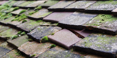 Pontarsais roof repair costs